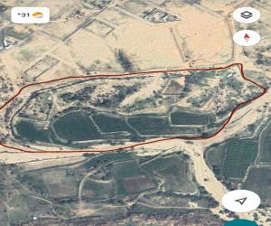 مزرعة للبيع  في  ام الراكه حي ام الراكه