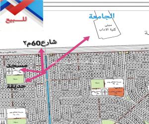 ارض للبيع  في  اللخبصية حي غير محدد