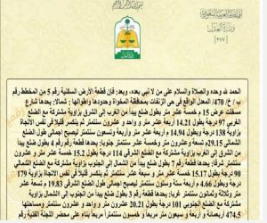 ارض للبيع  في  المخواة حي الفيصلية