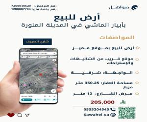 ارض للبيع  في  المدينة المنورة حي ابيار الماشي