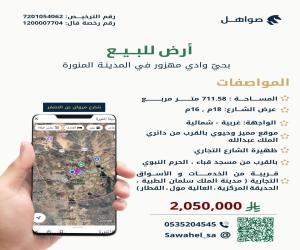 ارض للبيع  في  المدينة المنورة حي وادي مهزور