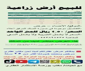 ارض للبيع  في  حرض حي حرض