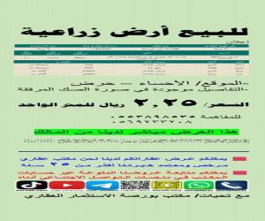 ارض للبيع  في  حرض حي حرض