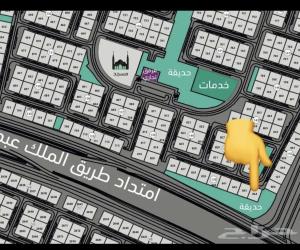 ارض للبيع  في  المدينة المنورة حي وادي البطان