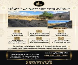 ارض للبيع  في  أبها حي السمر