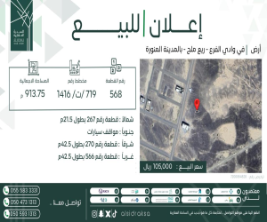 ارض للبيع  في  وادي  الفرع حي مخطط وادي  الفرع