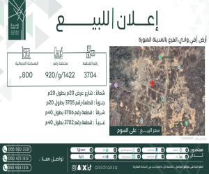 ارض للبيع  في  وادي  الفرع حي مخطط وادي  الفرع