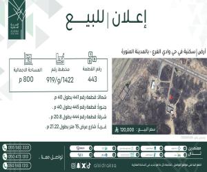 ارض للبيع  في  وادي  الفرع حي مخطط وادي  الفرع