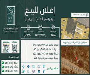 ارض للبيع  في  وادي  الفرع حي مخطط وادي  الفرع
